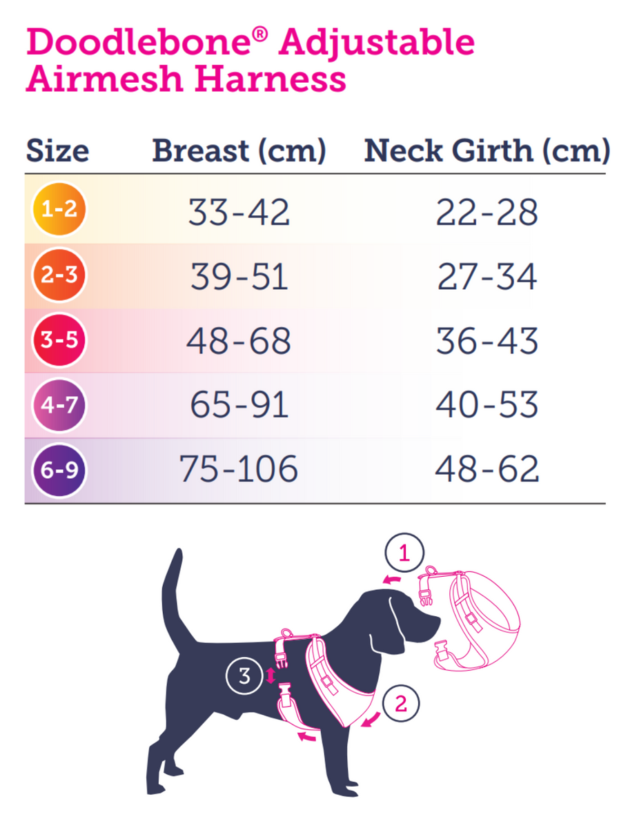 Doodlebone 2025 size guide