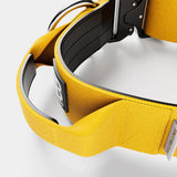 Bully Billows Mini Combat Collar Yellow