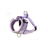 Doodlebone Harness Lilac Size 2-3