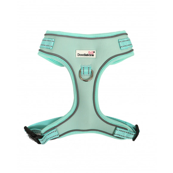 Doodlebone Mint Harness Size 2-3