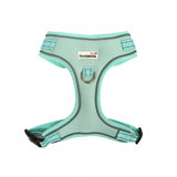 Doodlebone Mint Harness Size 2-3