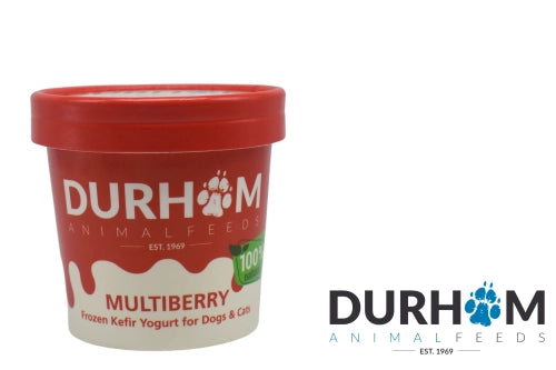 Durham Frozen Kefir Yoghurt Multiberry 85g