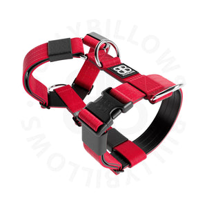 Bully Billows Tri Harness Red Large (C)