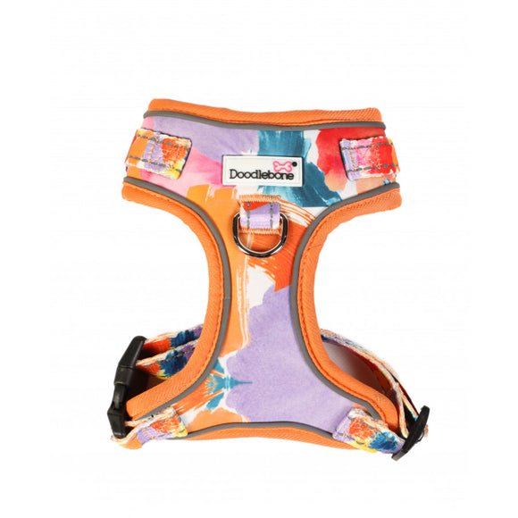 Doodlebone Watercolour Harness Size 4-7