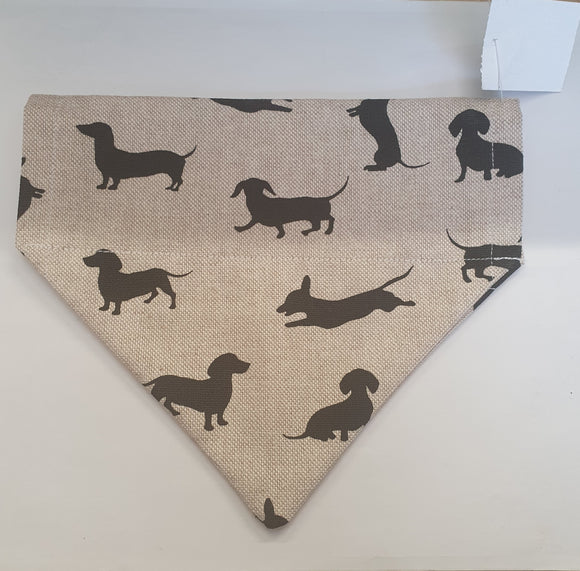 Bandana Dachshund L (Through)