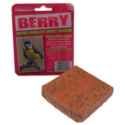 Suet To Go Block Berry 320g