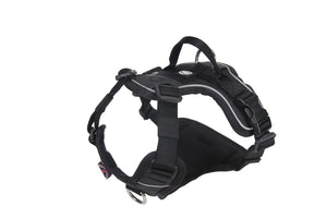 Bully Billows Hurricane Harness Black XS (A)