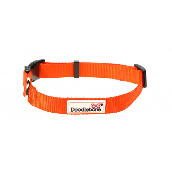 Doodlebone orange Collar 1-2