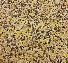 Canary Seed 2kg